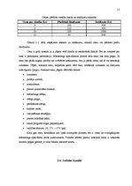 Diplomdarbs 'Mārketinga darbība un attīstības iespējas ražošanas uzņēmumā', 21.