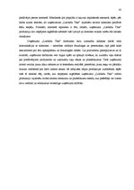 Diplomdarbs 'Mārketinga darbība un attīstības iespējas ražošanas uzņēmumā', 45.