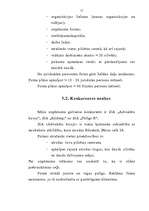 Biznesa plāns 'Biznesa plāns - SIA "Drošība"', 12.