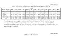 Biznesa plāns 'Biznesa plāns - SIA "Drošība"', 24.