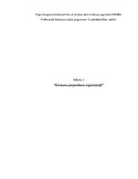 Referāts 'Lēmumu pieņemšana organizācijā', 1.