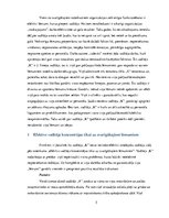 Referāts 'Lēmumu pieņemšana organizācijā', 5.