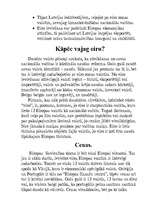 Referāts 'Eiro un Eiropas Savienība', 7.