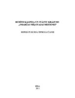 Referāts 'Rudīte Kalpiņa un stāstu krājums "Smaržas mīļotajai meitenei"', 1.