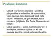 Prezentācija 'Aspazijas dzejoļu krājums "Sarkanās puķes"', 4.
