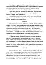 Referāts 'Perifērijas ierīces', 4.