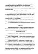 Referāts 'Perifērijas ierīces', 6.