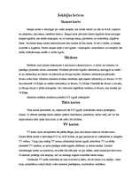 Referāts 'Perifērijas ierīces', 7.