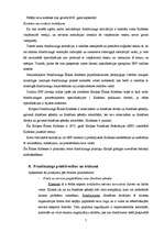 Referāts 'Frančaizings', 7.