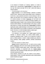 Referāts 'Frančaizings', 8.