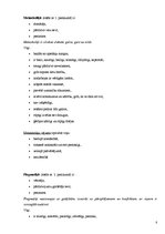 Referāts 'Zīmējuma nozīme cilvēka personības izpētē', 8.