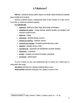 Referāts 'Zīmējuma nozīme cilvēka personības izpētē', 12.