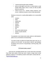 Referāts 'Zīmējuma nozīme cilvēka personības izpētē', 24.