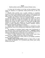 Referāts 'Rakstība senajos laikos', 1.