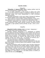 Referāts 'Rakstība senajos laikos', 2.