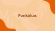 Prezentācija 'Pankūkas', 1.