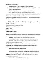 Paraugs 'Stundu modeļi', 5.