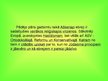Prezentācija 'Jūdaisms', 14.