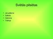 Prezentācija 'Jūdaisms', 19.