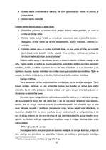 Referāts 'Juridiskās doktrīnas loma nacionālās tiesību sistēmas veidošanā', 6.