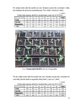 Referāts 'Laistāmā sastāva ietekme uz tomātu augšanu', 14.