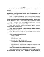 Referāts 'Latviešu un krievu nacionālo kultūru atšķirības un to ietekme uz biznesa attiecī', 5.