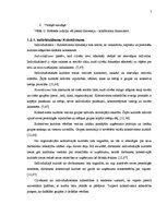 Referāts 'Latviešu un krievu nacionālo kultūru atšķirības un to ietekme uz biznesa attiecī', 7.