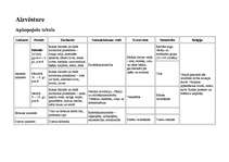 Konspekts 'Aizvēsture', 1.