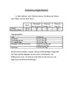 Prezentācija 'Viesnīca "Wolmar"', 18.