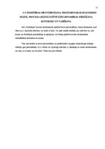 Prakses atskaite 'Prakses atskaite AS "Swedbank"', 13.