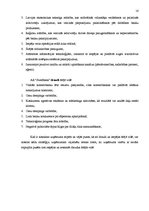 Prakses atskaite 'Prakses atskaite AS "Swedbank"', 16.