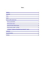 Referāts 'Procesu vadība transporta uzņēmumā', 4.