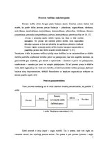 Referāts 'Procesu vadība transporta uzņēmumā', 7.