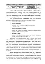 Referāts 'Procesu vadība transporta uzņēmumā', 19.