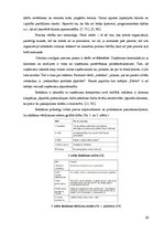 Referāts 'Procesu vadība transporta uzņēmumā', 20.