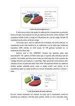 Referāts 'Procesu vadība transporta uzņēmumā', 26.