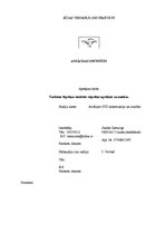 Referāts 'Turbīnas lāpstiņu statiskās stiprības aprēķins un analīze', 1.