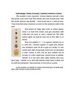 Referāts 'Ērču encefalīts', 2.