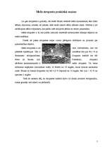 Konspekts 'Meža strupaste', 7.