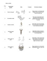 Prezentācija 'Divpadsmit dažādi vingrinājumi svaru zālē', 1.