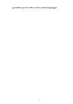 Referāts 'Ugunsdrošības signalizācijas sistēmas uzņēmuma attīstības stratēģija Latgalē', 1.