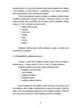 Referāts 'Ugunsdrošības signalizācijas sistēmas uzņēmuma attīstības stratēģija Latgalē', 9.