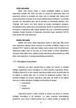 Referāts 'Ugunsdrošības signalizācijas sistēmas uzņēmuma attīstības stratēģija Latgalē', 13.