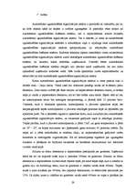 Referāts 'Ugunsdrošības signalizācijas sistēmas uzņēmuma attīstības stratēģija Latgalē', 29.