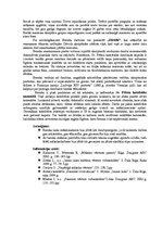 Konspekts 'Itālijas baroks. Lorenco Bernīni', 2.