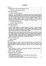 Referāts 'Daugavpils jauniešu attieksme pret biežo valdības maiņu', 2.