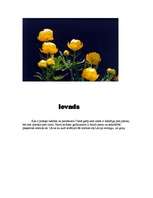 Konspekts 'Pilsoņa pienākumi, tiesības', 4.