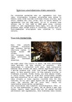 Referāts 'Arheoloģiskā koka restaurācija', 8.