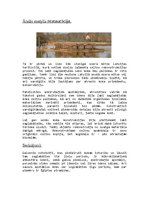 Referāts 'Arheoloģiskā koka restaurācija', 10.