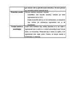 Paraugs 'Bakalaura un maģistra darbu analīze', 5.